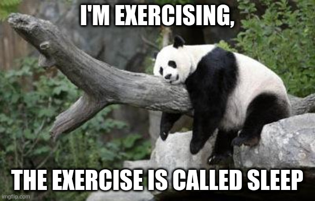 daily exercise | I'M EXERCISING, THE EXERCISE IS CALLED SLEEP | image tagged in lazy panda | made w/ Imgflip meme maker