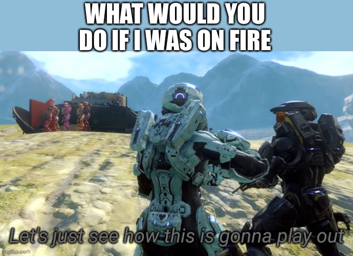 LEAVE ME TO BURN | WHAT WOULD YOU DO IF I WAS ON FIRE | image tagged in let's just see how this is gonna play out | made w/ Imgflip meme maker