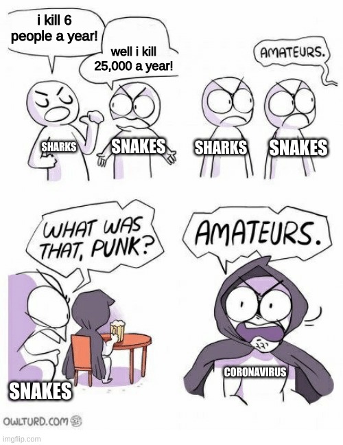 Amateurs | i kill 6 people a year! well i kill 25,000 a year! SNAKES; SNAKES; SHARKS; SHARKS; CORONAVIRUS; SNAKES | image tagged in amateurs | made w/ Imgflip meme maker