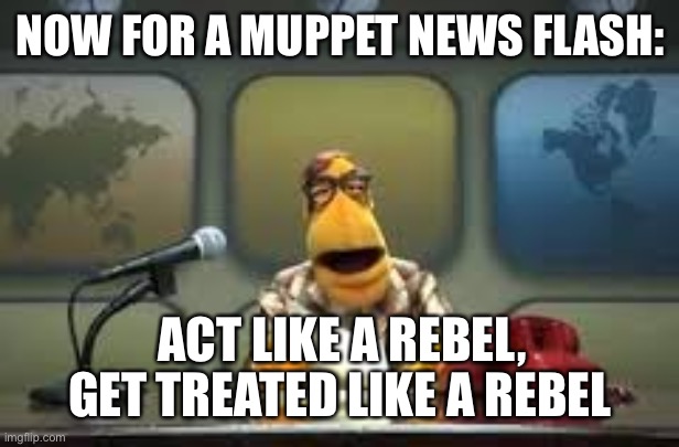 News Flash! | NOW FOR A MUPPET NEWS FLASH: GET TREATED LIKE A REBEL ACT LIKE A REBEL, | image tagged in news flash | made w/ Imgflip meme maker