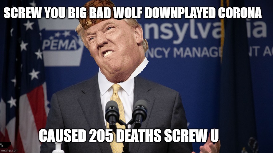 SCREW YOU BIG BAD WOLF DOWNPLAYED CORONA; CAUSED 205 DEATHS SCREW U | image tagged in donald trump | made w/ Imgflip meme maker