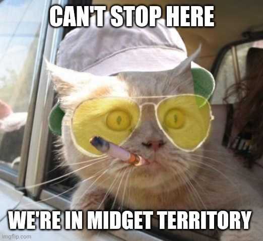 Fear And Loathing Cat Meme | CAN'T STOP HERE; WE'RE IN MIDGET TERRITORY | image tagged in memes,fear and loathing cat | made w/ Imgflip meme maker