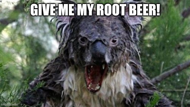 Angry Koala Meme | GIVE ME MY ROOT BEER! | image tagged in memes,angry koala | made w/ Imgflip meme maker