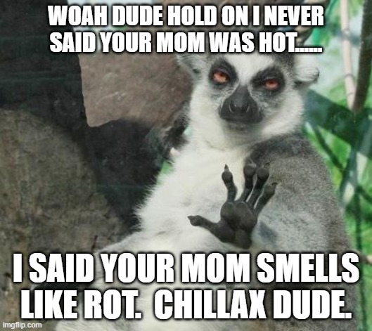 Your mom stinks.  She is stanky.  Like dirty mold. |  WOAH DUDE HOLD ON I NEVER SAID YOUR MOM WAS HOT...... I SAID YOUR MOM SMELLS LIKE ROT.  CHILLAX DUDE. | image tagged in memes,stoner lemur | made w/ Imgflip meme maker