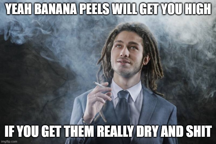 They will. | YEAH BANANA PEELS WILL GET YOU HIGH; IF YOU GET THEM REALLY DRY AND SHIT | image tagged in successful stoner | made w/ Imgflip meme maker