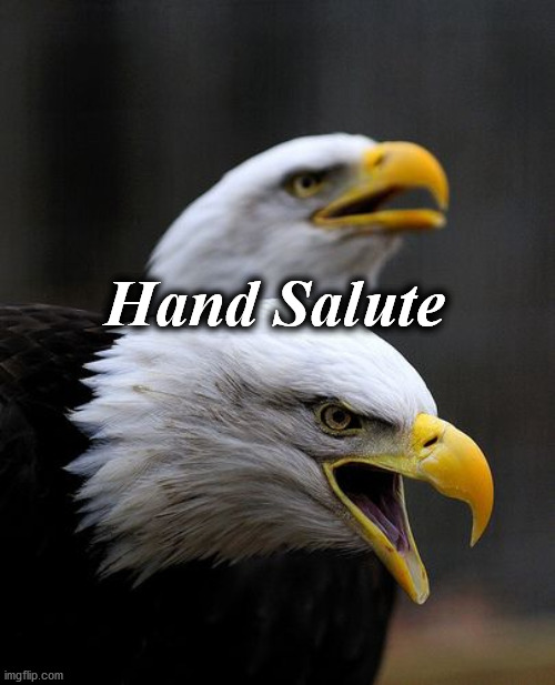 EAGLES | Hand Salute | image tagged in eagles | made w/ Imgflip meme maker
