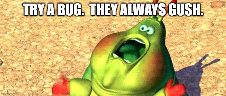 Me when I see a insect in my room | TRY A BUG.  THEY ALWAYS GUSH. | image tagged in me when i see a insect in my room | made w/ Imgflip meme maker