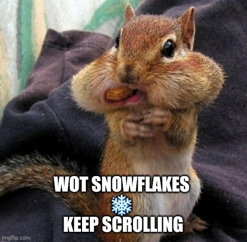 Keep Scrolling snowflakes | WOT SNOWFLAKES 

❄ 


KEEP SCROLLING | image tagged in snowflakes | made w/ Imgflip meme maker