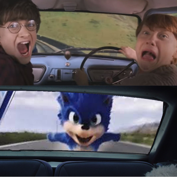 Sonic Chasing Harry and Ron Blank Meme Template