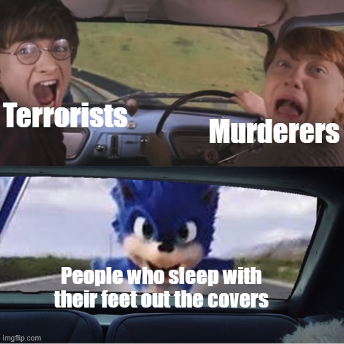 The 1 thing that everyone is scared of... | Terrorists; Murderers; People who sleep with their feet out the covers | image tagged in sonic chasing harry and ron,sonic,harry potter,chase,bed,memes | made w/ Imgflip meme maker