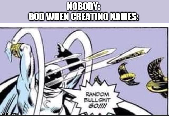 Random Bullshit Go |  NOBODY: 
GOD WHEN CREATING NAMES: | image tagged in random bullshit go | made w/ Imgflip meme maker