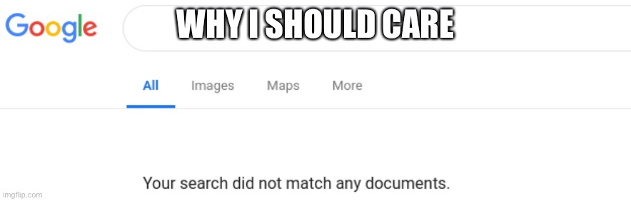 Google No Results | WHY I SHOULD CARE | image tagged in google no results | made w/ Imgflip meme maker
