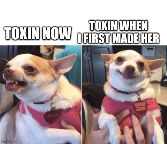 Toxin went from happy and innocent to Eldritch god worshipper | TOXIN WHEN I FIRST MADE HER; TOXIN NOW | image tagged in angry chihuahua happy chihuahua | made w/ Imgflip meme maker