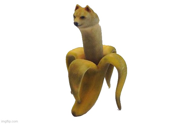 Doge banana transparent | image tagged in doge banana transparent | made w/ Imgflip meme maker