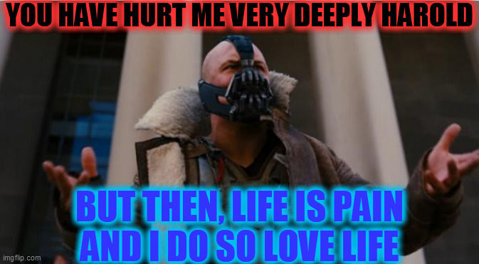 Bane Speech | YOU HAVE HURT ME VERY DEEPLY HAROLD BUT THEN, LIFE IS PAIN
AND I DO SO LOVE LIFE | image tagged in bane speech | made w/ Imgflip meme maker