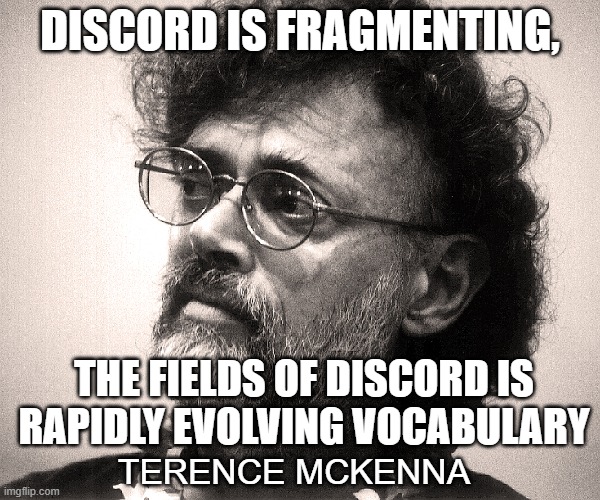 discord |  DISCORD IS FRAGMENTING, THE FIELDS OF DISCORD IS RAPIDLY EVOLVING VOCABULARY; TERENCE MCKENNA | image tagged in terence mckenna,discord | made w/ Imgflip meme maker