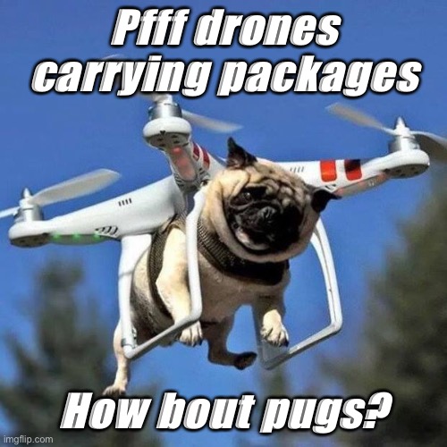 Flying Pug |  Pfff drones carrying packages; How bout pugs? | image tagged in flying pug | made w/ Imgflip meme maker