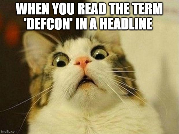 Scared Cat Meme | WHEN YOU READ THE TERM 'DEFCON' IN A HEADLINE | image tagged in memes,scared cat | made w/ Imgflip meme maker