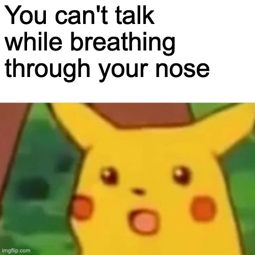 Surprised Pikachu Meme | You can't talk while breathing through your nose | image tagged in memes,surprised pikachu | made w/ Imgflip meme maker