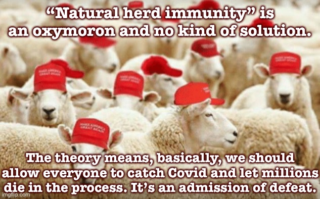 This would be an especially stupid “strategy” after the months of sacrifice and being on the cusp of delivering vaccines. | “Natural herd immunity” is an oxymoron and no kind of solution. The theory means, basically, we should allow everyone to catch Covid and let millions die in the process. It’s an admission of defeat. | image tagged in trump sheeple,covid-19,covid19,coronavirus,social distancing,pandemic | made w/ Imgflip meme maker