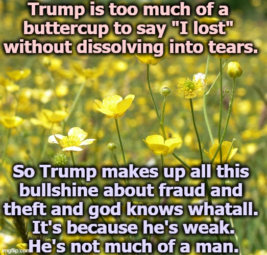 Bullies are weak. Trump, the Weakling. Loser. | Trump is too much of a 
buttercup to say "I lost" 
without dissolving into tears. So Trump makes up all this 
bullshine about fraud and 
theft and god knows whatall. 
It's because he's weak.
He's not much of a man. | image tagged in trump,weak,butter,cup,snowflake,tears | made w/ Imgflip meme maker