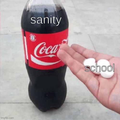 why does school exist | sanity; school | image tagged in coke mentos hand meme | made w/ Imgflip meme maker