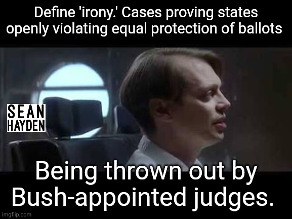 2020 irony | Define 'irony.' Cases proving states openly violating equal protection of ballots; Being thrown out by Bush-appointed judges. | image tagged in steve buscemi irony | made w/ Imgflip meme maker