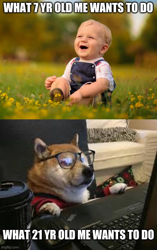WHAT 7 YR OLD ME WANTS TO DO; WHAT 21 YR OLD ME WANTS TO DO | image tagged in gamer doggo | made w/ Imgflip meme maker