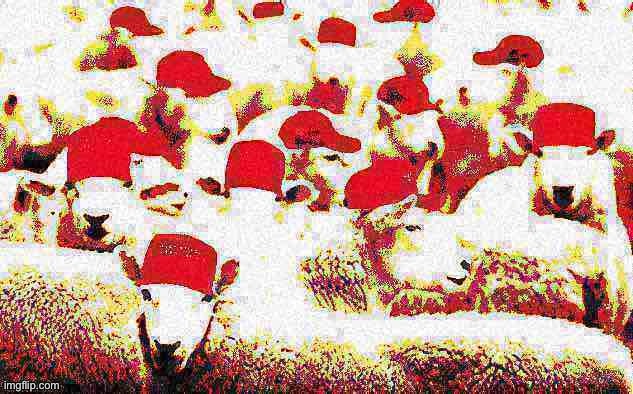 I don’t think this one needs a caption | image tagged in maga sheeple deep-fried 2,deep fried,deep fried hell,maga,sheeple,custom template | made w/ Imgflip meme maker