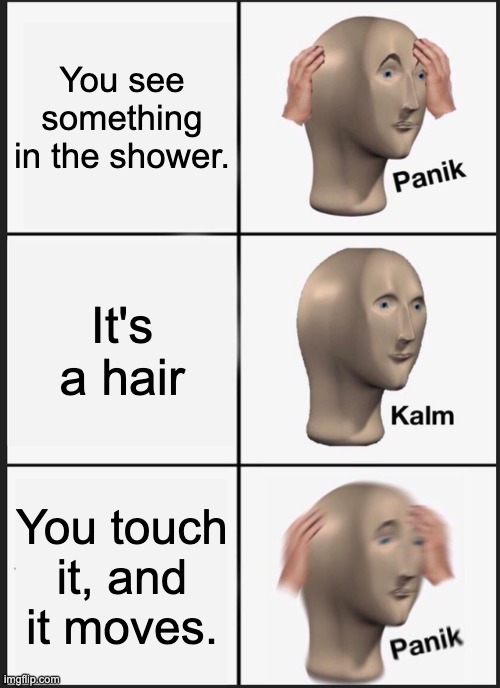 a bug! | You see something in the shower. It's a hair; You touch it, and it moves. | image tagged in memes,panik kalm panik | made w/ Imgflip meme maker