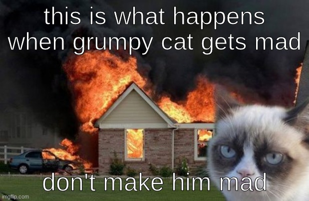 oh no | this is what happens when grumpy cat gets mad; don't make him mad | image tagged in memes,burn kitty,grumpy cat | made w/ Imgflip meme maker