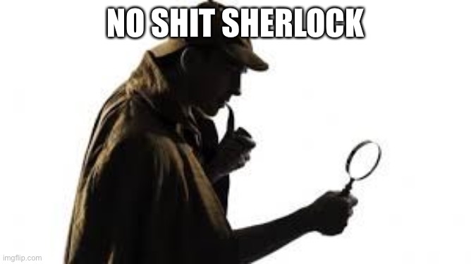 NO SHIT!! | NO SHIT SHERLOCK | image tagged in no shit | made w/ Imgflip meme maker