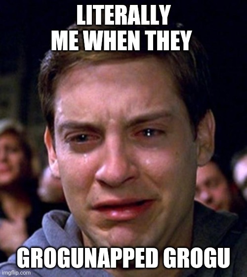 Nooooooo | LITERALLY ME WHEN THEY; GROGUNAPPED GROGU | image tagged in crying peter parker,chapter 14,grogu | made w/ Imgflip meme maker