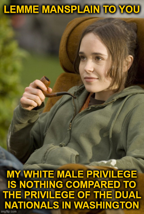 Lemme mansplain to you... | LEMME MANSPLAIN TO YOU; MY WHITE MALE PRIVILEGE
IS NOTHING COMPARED TO
THE PRIVILEGE OF THE DUAL
NATIONALS IN WASHINGTON | image tagged in ellen page armchair,mansplaining,male privilege,dual nationals,washington dc,juice | made w/ Imgflip meme maker