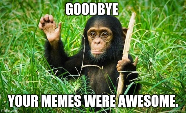 goodbye | GOODBYE YOUR MEMES WERE AWESOME. | image tagged in goodbye | made w/ Imgflip meme maker