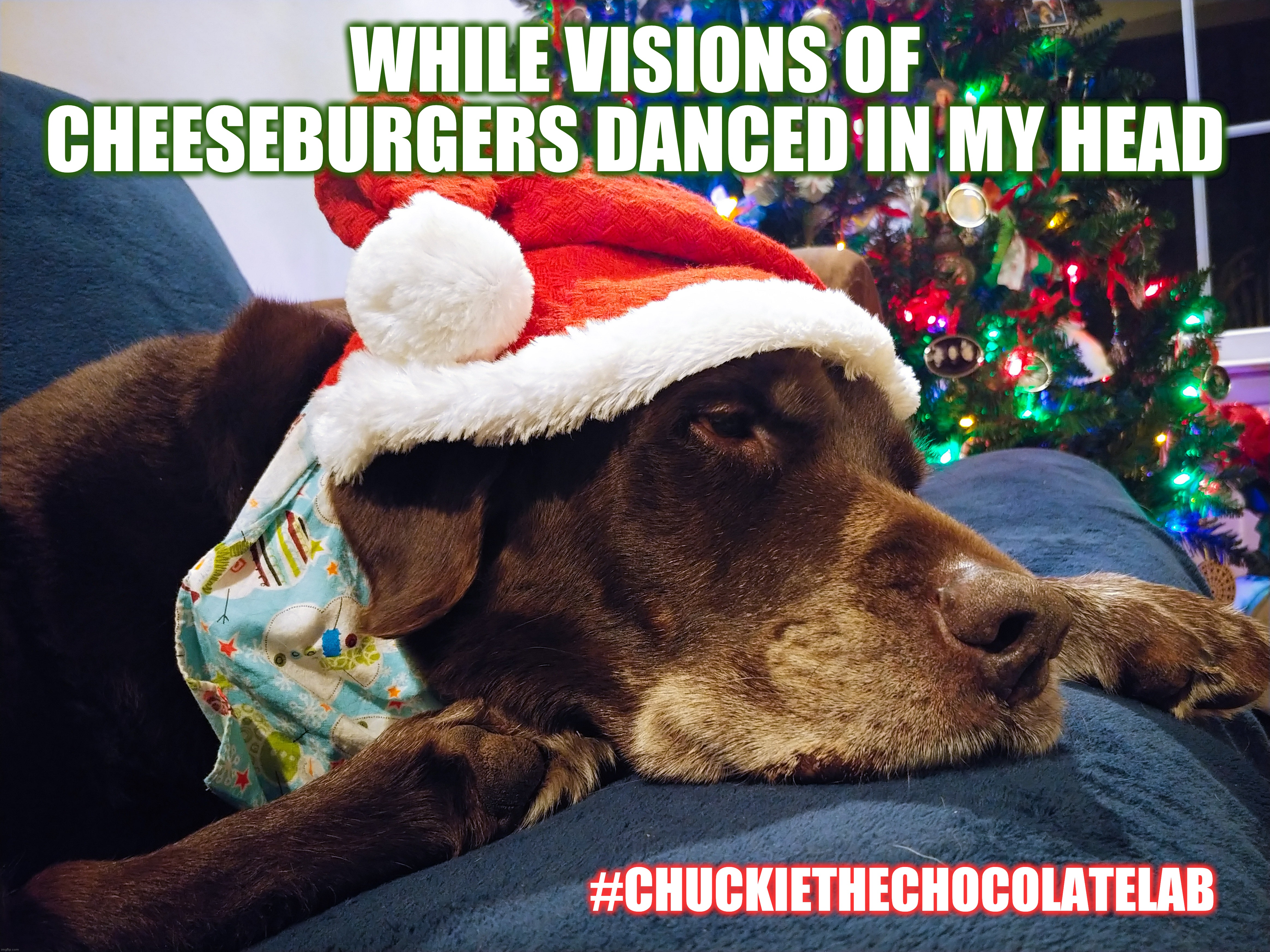 Christmas cheeseburgers | WHILE VISIONS OF CHEESEBURGERS DANCED IN MY HEAD; #CHUCKIETHECHOCOLATELAB | image tagged in chuckie the chocolate lab,dogs,memes,funny,christmas,cheeseburgers | made w/ Imgflip meme maker