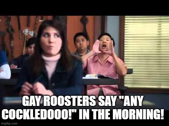 ha gay | GAY ROOSTERS SAY "ANY COCKLEDOOO!" IN THE MORNING! | image tagged in ha gay | made w/ Imgflip meme maker