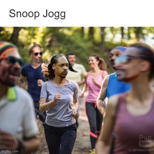 [Not mine but a goodie] | image tagged in snoop jogg,snoop dogg,repost,snoop,reposts are awesome,puns | made w/ Imgflip meme maker