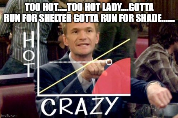 Hot Scale Meme | TOO HOT.....TOO HOT LADY....GOTTA RUN FOR SHELTER GOTTA RUN FOR SHADE....... | image tagged in memes,hot scale | made w/ Imgflip meme maker