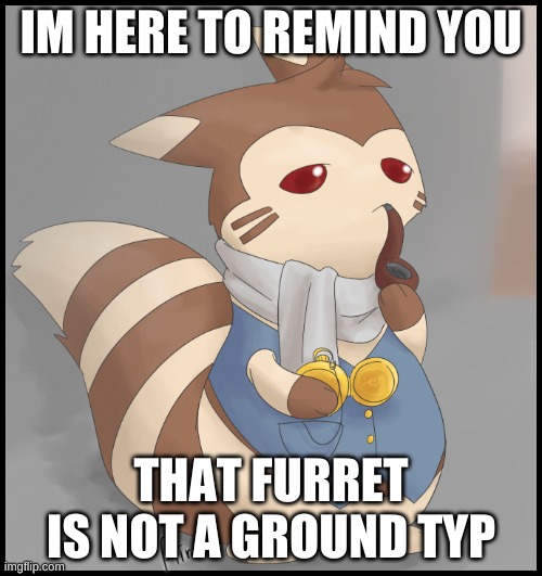 Fancy Furret | IM HERE TO REMIND YOU; THAT FURRET IS NOT A GROUND TYP | image tagged in fancy furret | made w/ Imgflip meme maker