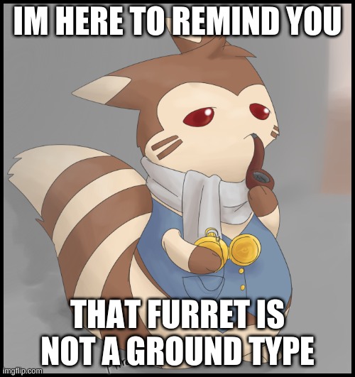 Fancy Furret | IM HERE TO REMIND YOU; THAT FURRET IS NOT A GROUND TYPE | image tagged in fancy furret | made w/ Imgflip meme maker