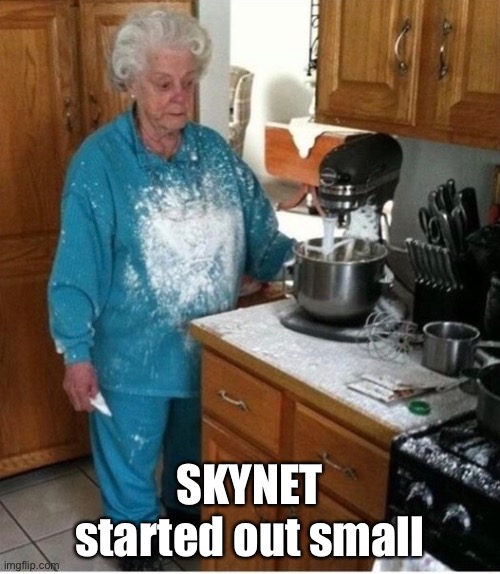 Smartass Appliances | SKYNET started out small | image tagged in daily cooking lesson,skynet | made w/ Imgflip meme maker