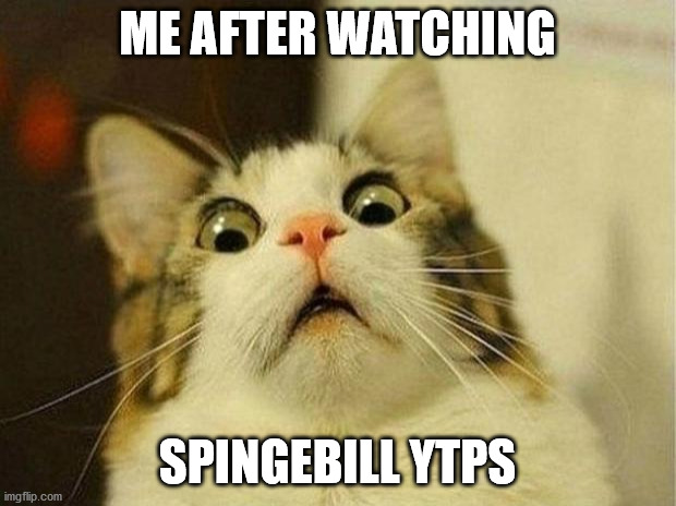 Scared Cat | ME AFTER WATCHING; SPINGEBILL YTPS | image tagged in memes,scared cat | made w/ Imgflip meme maker