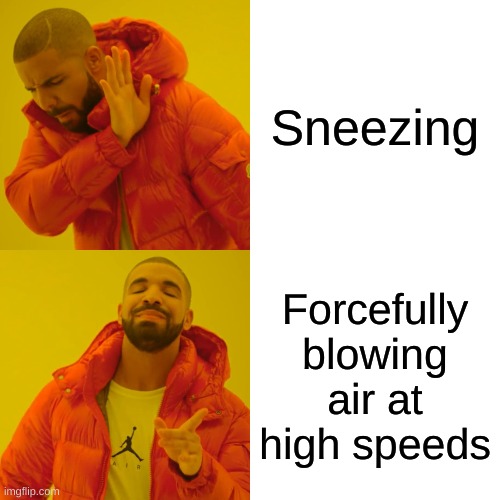 Sneezing | Sneezing; Forcefully blowing air at high speeds | image tagged in memes,drake hotline bling | made w/ Imgflip meme maker