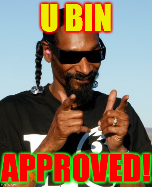 Snoop Dogg approves | U BIN APPROVED! | image tagged in snoop dogg approves | made w/ Imgflip meme maker