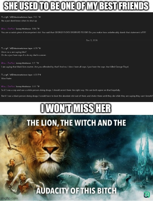 I will not miss her at all | SHE USED TO BE ONE OF MY BEST FRIENDS; I WON'T MISS HER | image tagged in blank white template,the lion the witch and the audacity of this bitch | made w/ Imgflip meme maker