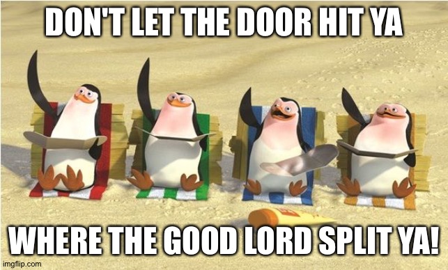 goodbye | DON'T LET THE DOOR HIT YA WHERE THE GOOD LORD SPLIT YA! | image tagged in goodbye | made w/ Imgflip meme maker