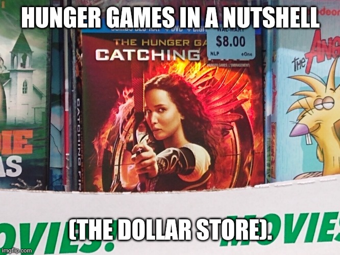 HUNGER GAMES IN A NUTSHELL; (THE DOLLAR STORE). | image tagged in the hunger games | made w/ Imgflip meme maker