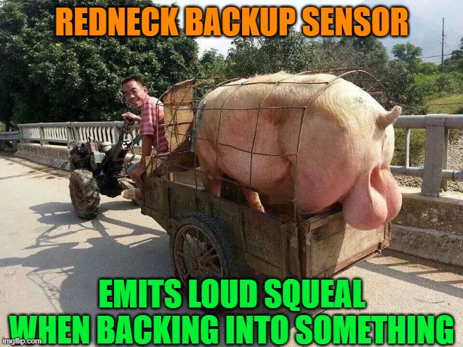REDNECK BACKUP SENSOR; EMITS LOUD SQUEAL WHEN BACKING INTO SOMETHING | image tagged in funny,redneck,technology,pigs,cars,reverse | made w/ Imgflip meme maker