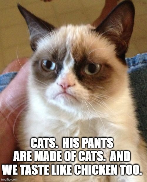 Grumpy Cat Meme | CATS.  HIS PANTS ARE MADE OF CATS.  AND WE TASTE LIKE CHICKEN TOO. | image tagged in memes,grumpy cat | made w/ Imgflip meme maker